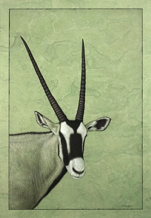 Framed Gemsbok Print