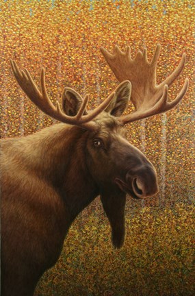 Framed Moose Print