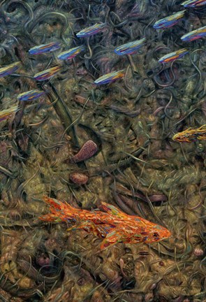 Framed Aquarium 2 Print