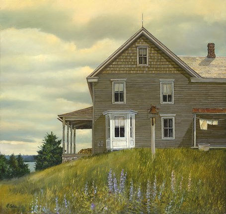 Framed Door yard Lupines Print