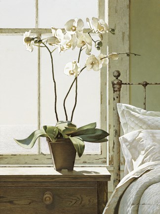 Framed Orchids In The Window Print