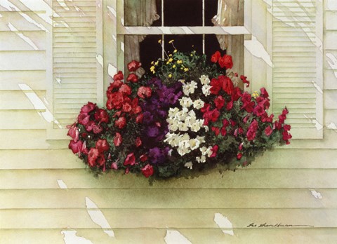Framed Flowerbox Print