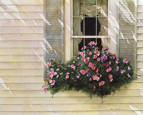 Framed Shutter Blue Print