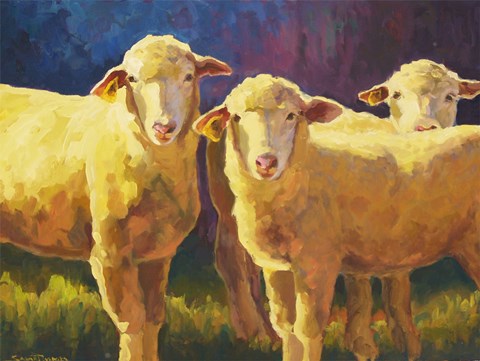 Framed Don&#39;t Hate Us Because We&#39;re Beautiful Print