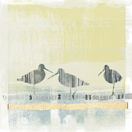 Framed Coastal Birds II Print