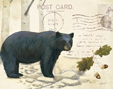 Framed Northern Wild IV Print