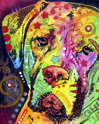 Framed Mastiff Print