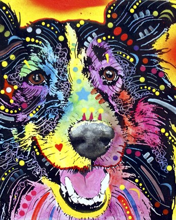 Framed Sheltie Print