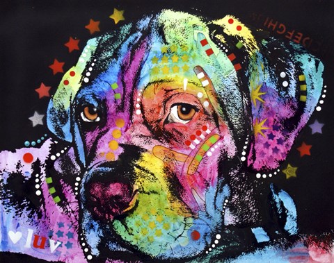 Framed Young Mastiff Print