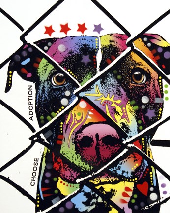 Framed Choose Adoption Print