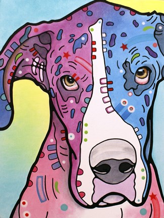 Framed Nobody&#39;s Fool Print