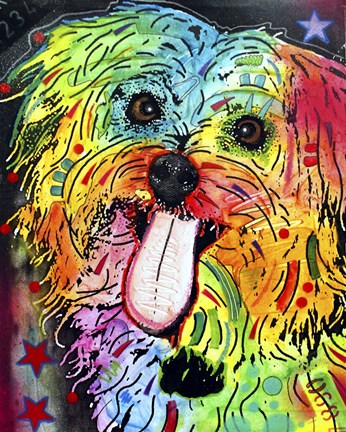 Framed Shih Tzu Print