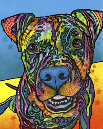 Framed Maccabee Print