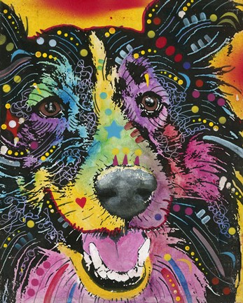 Framed Smiling Collie Print