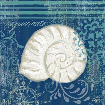 Framed Navy Blue Spa Shells I Print