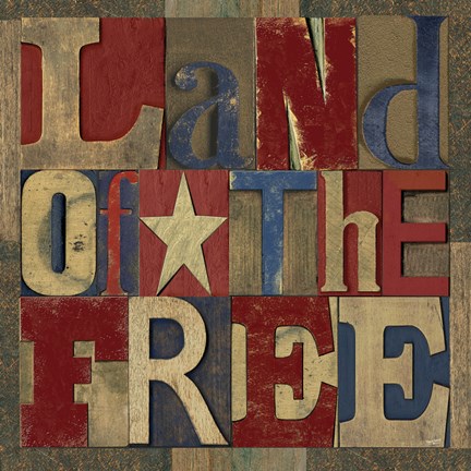 Framed Patriotic Printer Block II Print