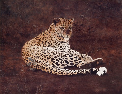 Framed Surveying Her Realm Print