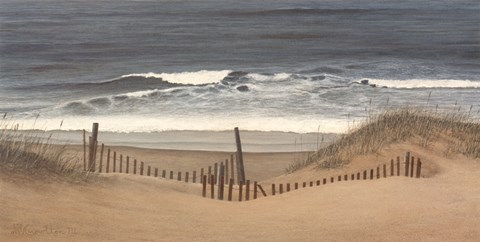 Framed Outer Banks Beach Print