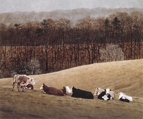 Framed Contented 3 Print