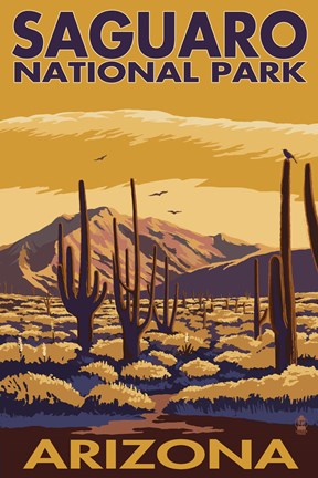Framed Saguaro National Park Arizona Print