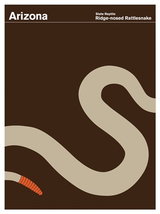 Framed Montague State Posters - Arizona Print