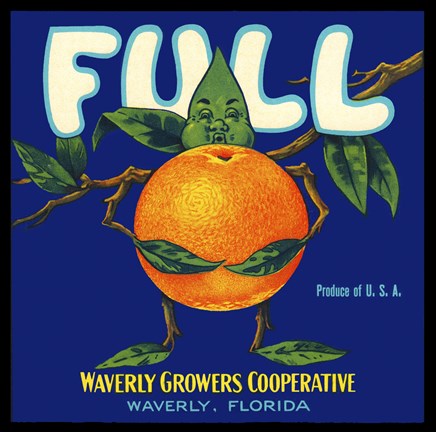 Framed Full Florida Citrus Print