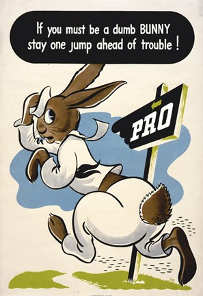 Framed Dumb Bunny Print