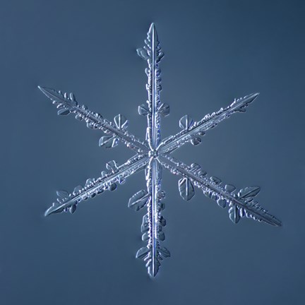 Framed Simple Star Snowflake 002.2.16 Print