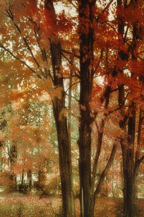 Framed Red Forest Print