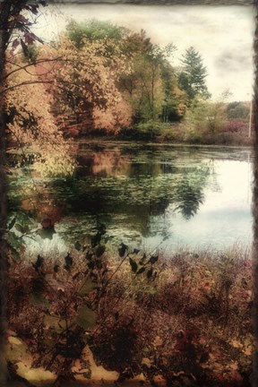 Framed Song of the Season Print