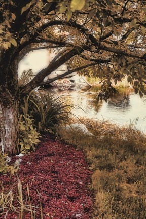 Framed Under the Tree Print