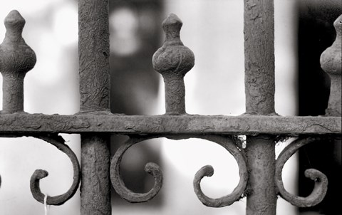 Framed Grating Print