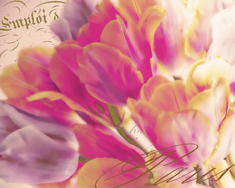 Framed Tulip Glow Print