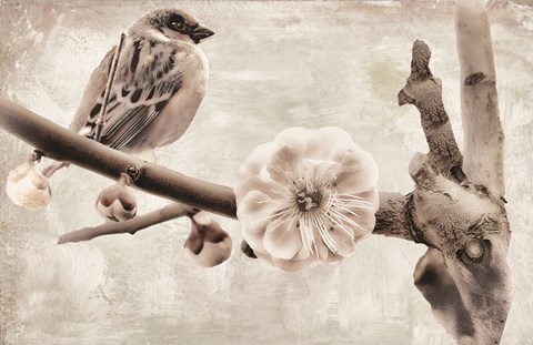 Framed Plum Blossom Print