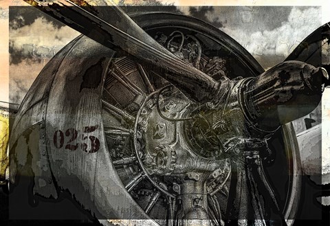 Framed Freedom Fighter Print