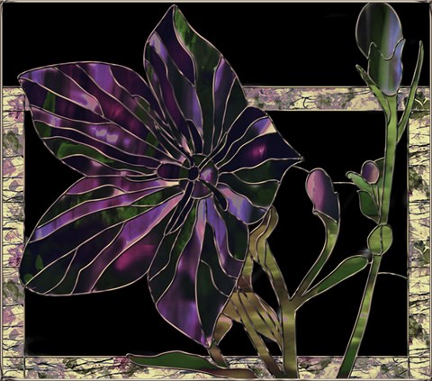 Framed Balloon Flower Print