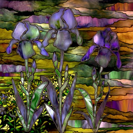 Framed Sunset Irises Print