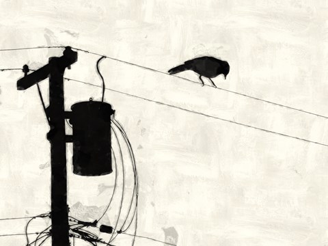 Framed Telephone Bird Print