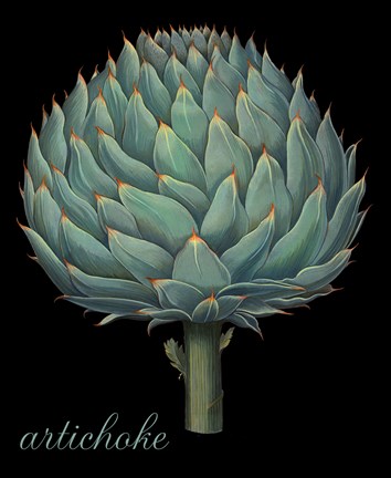 Framed Artichoke Print