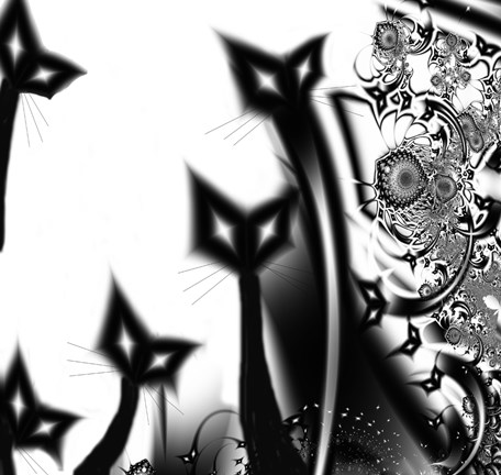 Framed Black Cats Print