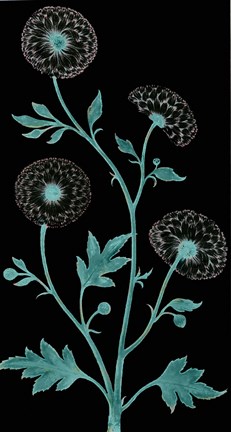 Framed Dandelion Dance Print