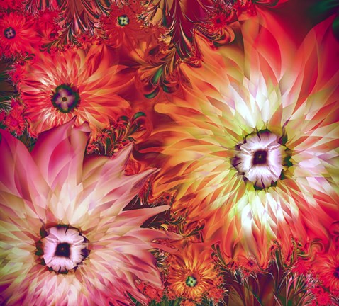 Framed Fire Asters Print