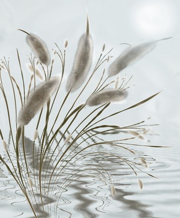 Framed Mourning Willow Pond Print