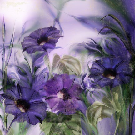 Framed Purple Dream I Print