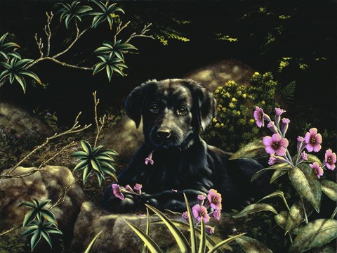 Framed In Amongst the Flowers Print