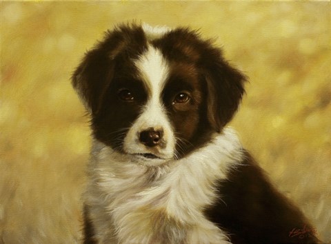 Framed Border Collie Pup 1 Print