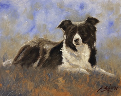 Framed Collie Resting Print