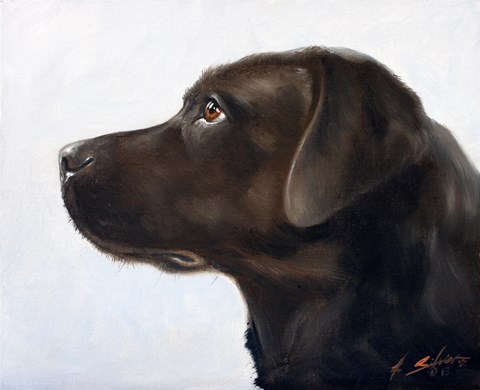 Framed Black Lab 1 Print