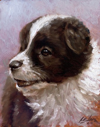 Framed Border Collie 1 Print