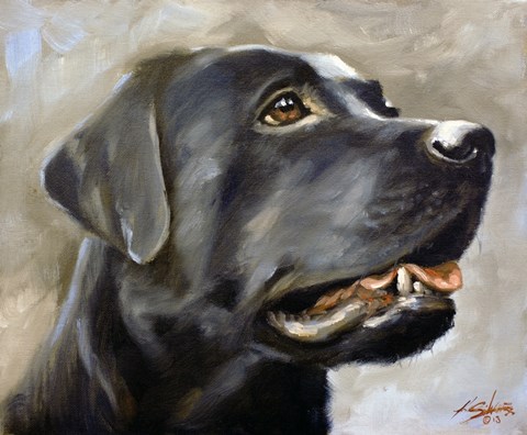 Framed Black Lab 2 Print
